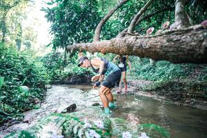 BIB: 
                            <button type="button" onclick="openModal(25430943)" class="btn btn-primary btn-sm float-right btn-popup" data-toggle="modal" data-target=".modal-high-quality">
                        <i class="fas fa-shopping-cart"></i> Add to Cart
                    </button>
                                            <button type="button" onclick="isThisMe(25430943, true)" class="btn btn-success btn-sm float-right btn-popup btn-isme hidden" data-toggle="tooltip" data-placement="bottom" title="นี่คือรูปของคุณใช่ไหม คลิกที่นี่เพื่อเอาเข้าอัลบั้ม">
                        <i class="fas fa-plus"></i> Add to album
                    </button>
                    <button type="button" onclick="isThisMe(25430943, false)" class="btn btn-warning btn-sm float-right btn-popup btn-isnotme hidden">
                        <i class="fas fa-ban"></i> Remove from album
                    </button>